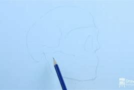 Image result for 3 4. Profile Skull Drawing