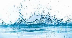 Image result for Water Cup Header