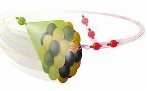 Image result for Atomic Nuclei