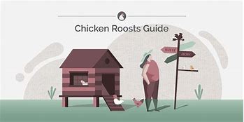 Image result for Chicken Roost Flat or Round