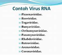 Image result for Contoh Virus Orthomyxoviridae