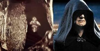 Image result for Pregnant Sith Lord