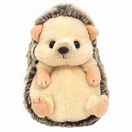 Image result for Hedgehog Gifts