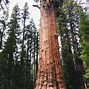 Image result for Los Angeles to Sequoia National Park