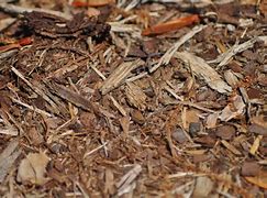 Image result for Mulch Texture