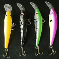 Image result for Minnow Bait Lure