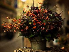 Image result for Bouquet 4K