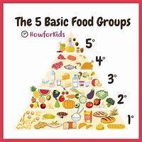 Image result for 7 Food Groups