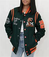 Image result for FAMU Vest