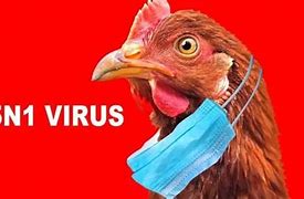 Image result for H1N1 Invade