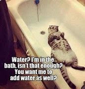 Image result for Cat Bathtub Meme