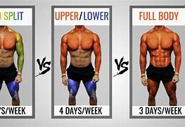 Image result for Body Part Split Workout