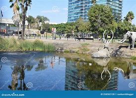 Image result for La Brea Tar Pits Looking Northern