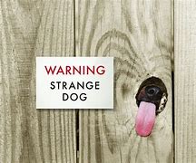 Image result for Fun Dog Signs