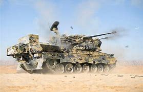 Image result for The Flakpanzer Gepard