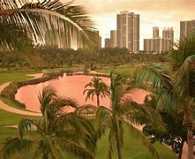 Image result for Miami Golf Course Turnberry