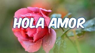 Image result for Hola MI Amor 2