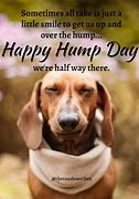 Image result for Quotes About Hump Day