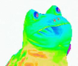 Image result for Rainbow Frog