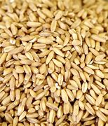 Image result for Ground Oats