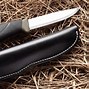 Image result for Morakniv Companion Expert Sheath