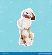 Image result for Art Cute Dog Human