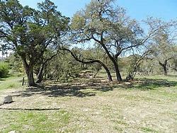 Image result for 16316 Hamilton Pool