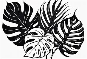 Image result for Planta Monstera Tatuaje