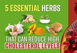 Image result for Best Herbs for Lowering Cholesterol