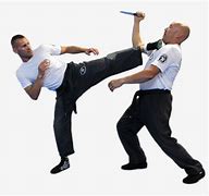 Image result for Krav Maga Kick