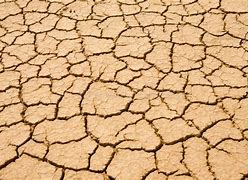 Image result for Dried Desert