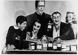 Image result for The Munsters Background