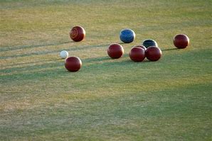 Image result for Picutres of Bocce Ball