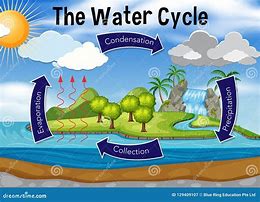 Image result for Water Cycle Illustration