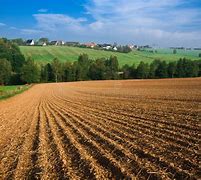 Image result for Sudan Arable Land