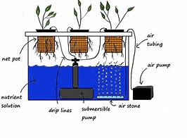 Image result for Hyroponics Layout