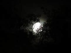 Image result for Dark Moon in Bali