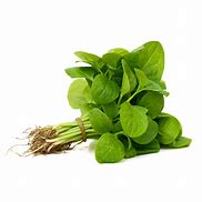 Image result for Bayam Plant