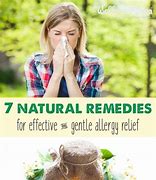 Image result for Natural Allergy Remedies