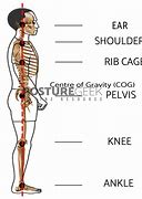 Image result for Standing Posture Plumb Line