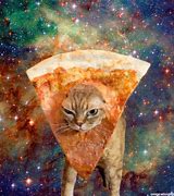 Image result for Space Cat Meme