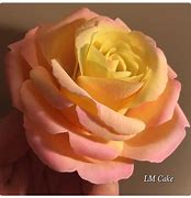 Image result for Sugar Flower Tutorial