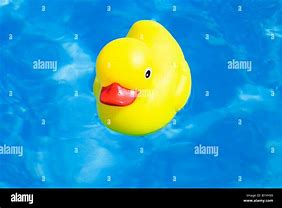 Image result for Yellow Rubber Duck