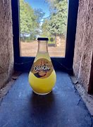 Image result for Orangina 1L