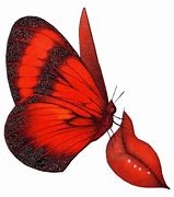 Image result for Animated Red Butterfly Gifs