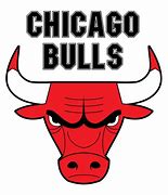 Image result for Bloomingdale Bulls Basketball Logo