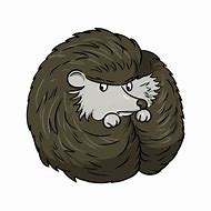 Image result for Hedgehog Ball