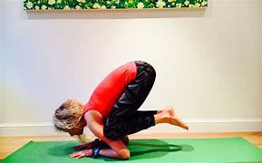 Image result for Baby Crow Asana