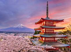 Image result for Japan Pp Puicture