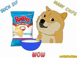 Image result for Doge Fan Art